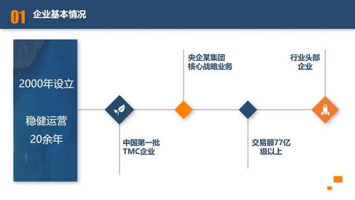 某央企旅游集团b端商旅业务混合所有制改革项目